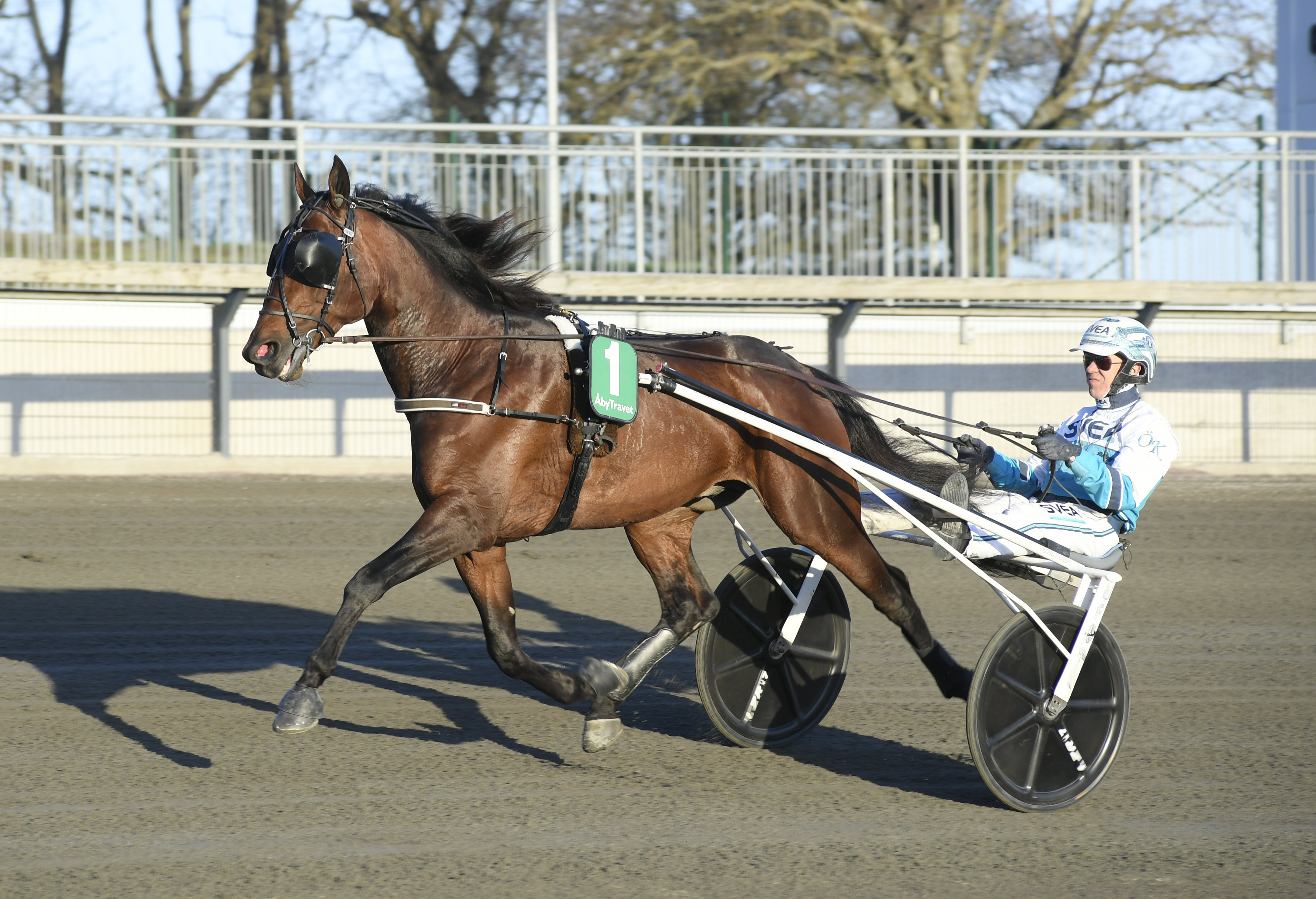 Francesco Zet est l'un des plus grands trotteur que la Suède ai connu . À 3 ans, il a remporté le criterium et la Breeders Crown. 