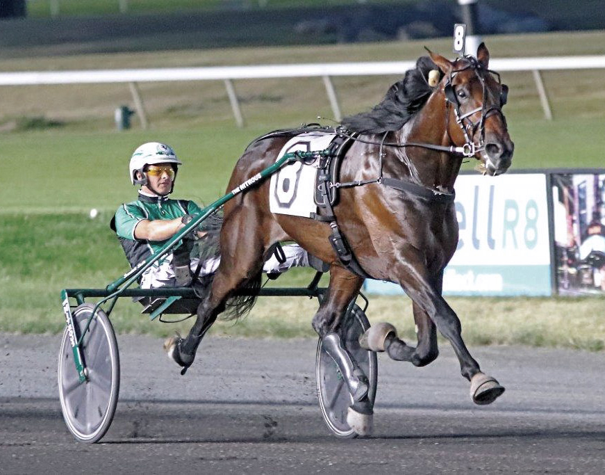 Un véritable champion de 2 à 4 ans. Détenteur du record devitesse à 3 ans. Ses 1er yearlings très recherché en 2022 dont Stella volo vendu $ 250 000 !